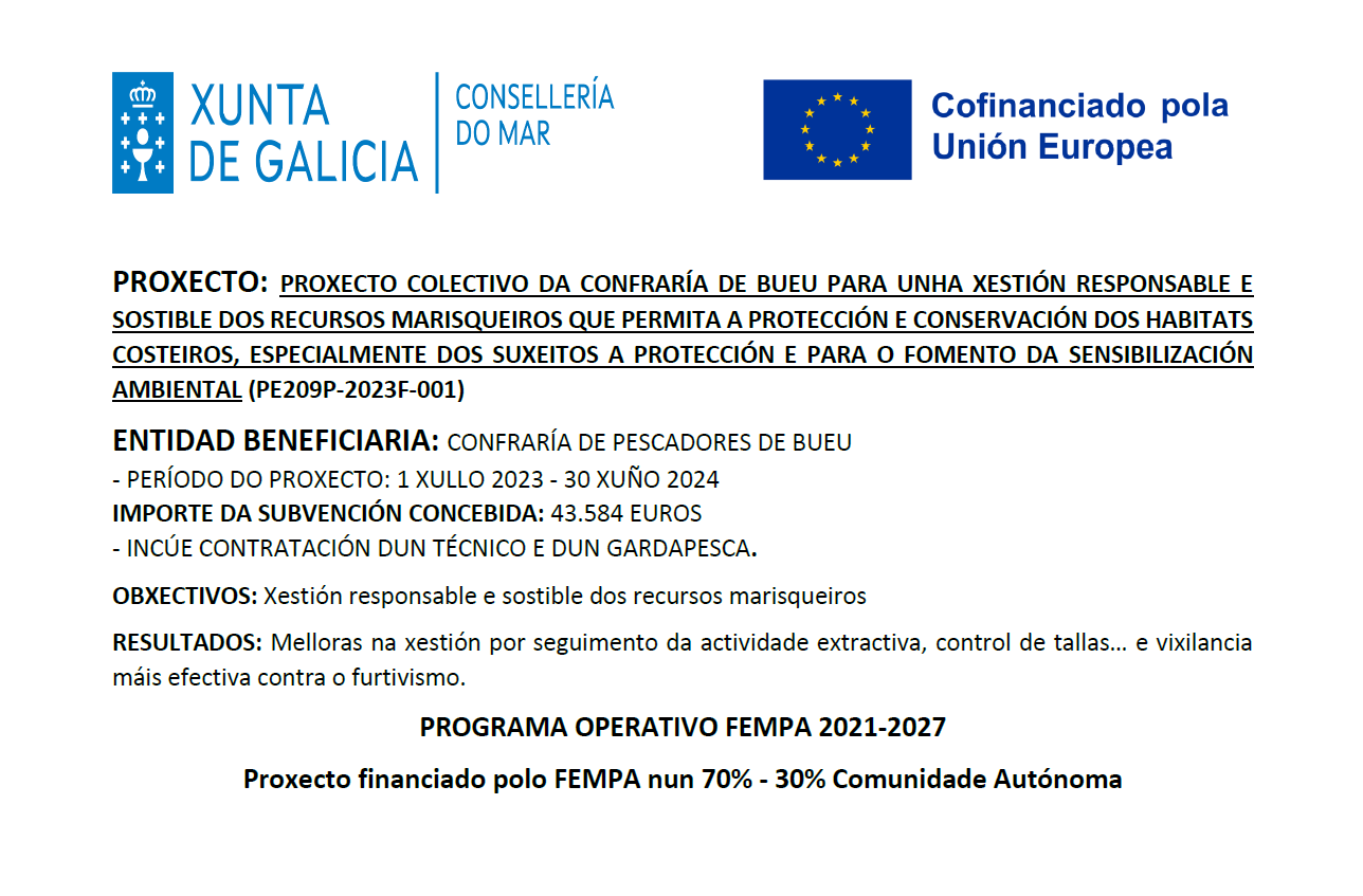 proxecto vixiancia e at