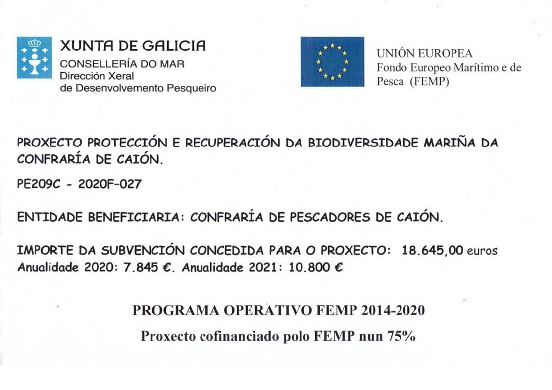 PROYECTO DE PROTECCIÓN Y RECUPERACIÓN DE LA BIODIVERSIDAD MARINA DE LA CONFRADÍA DE CAIÓN.