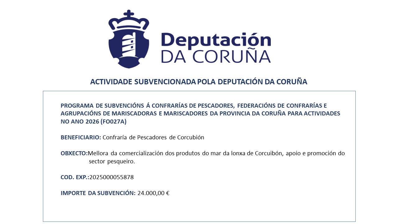 ACTIVIDADE SUBVENCIONADA POLA DEPUTACIÓN DA CORUÑA