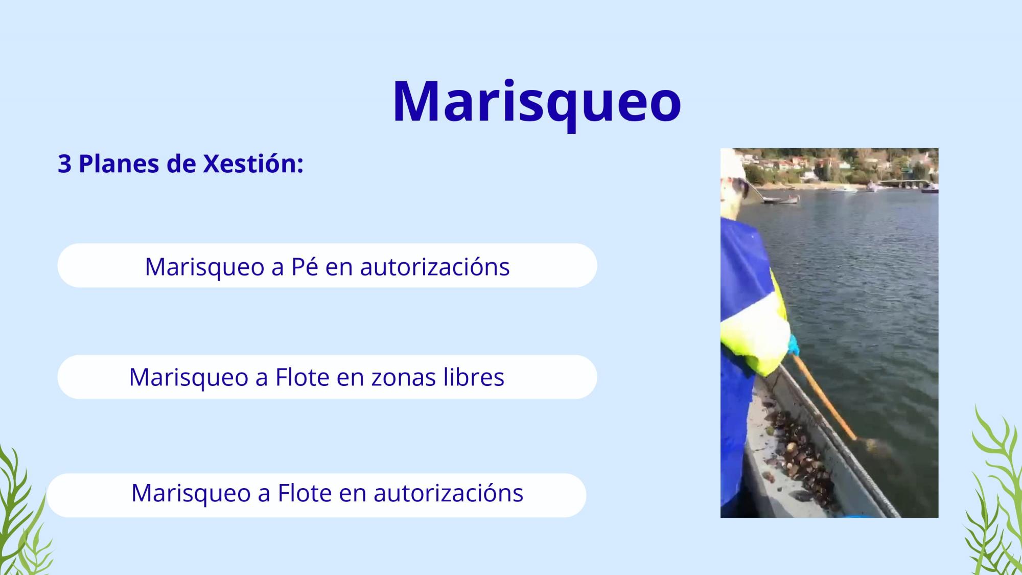 XORNADAS DE DIVULGACION PROXECTO PE209P 2025-2026