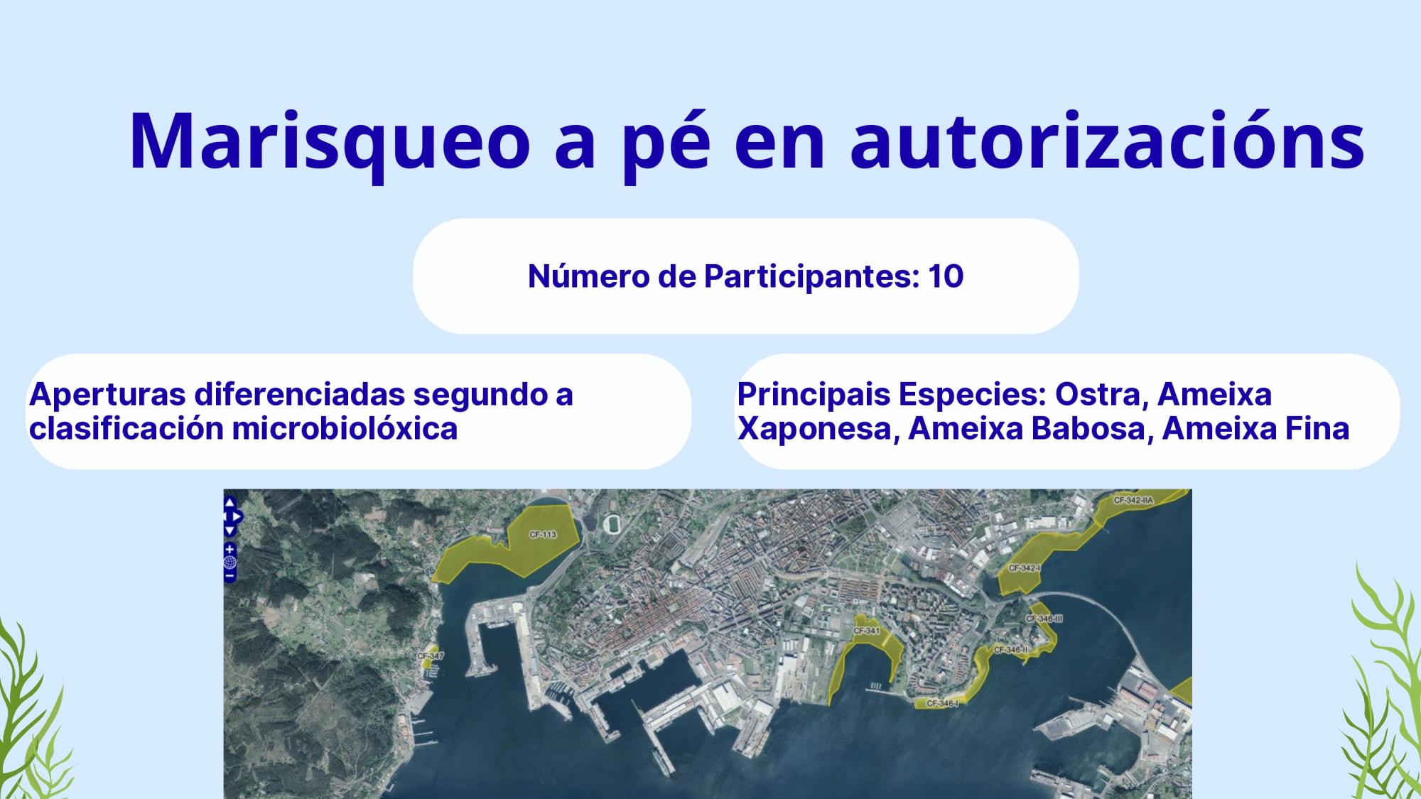 XORNADAS DE DIVULGACION PROXECTO PE209P 2025-2026