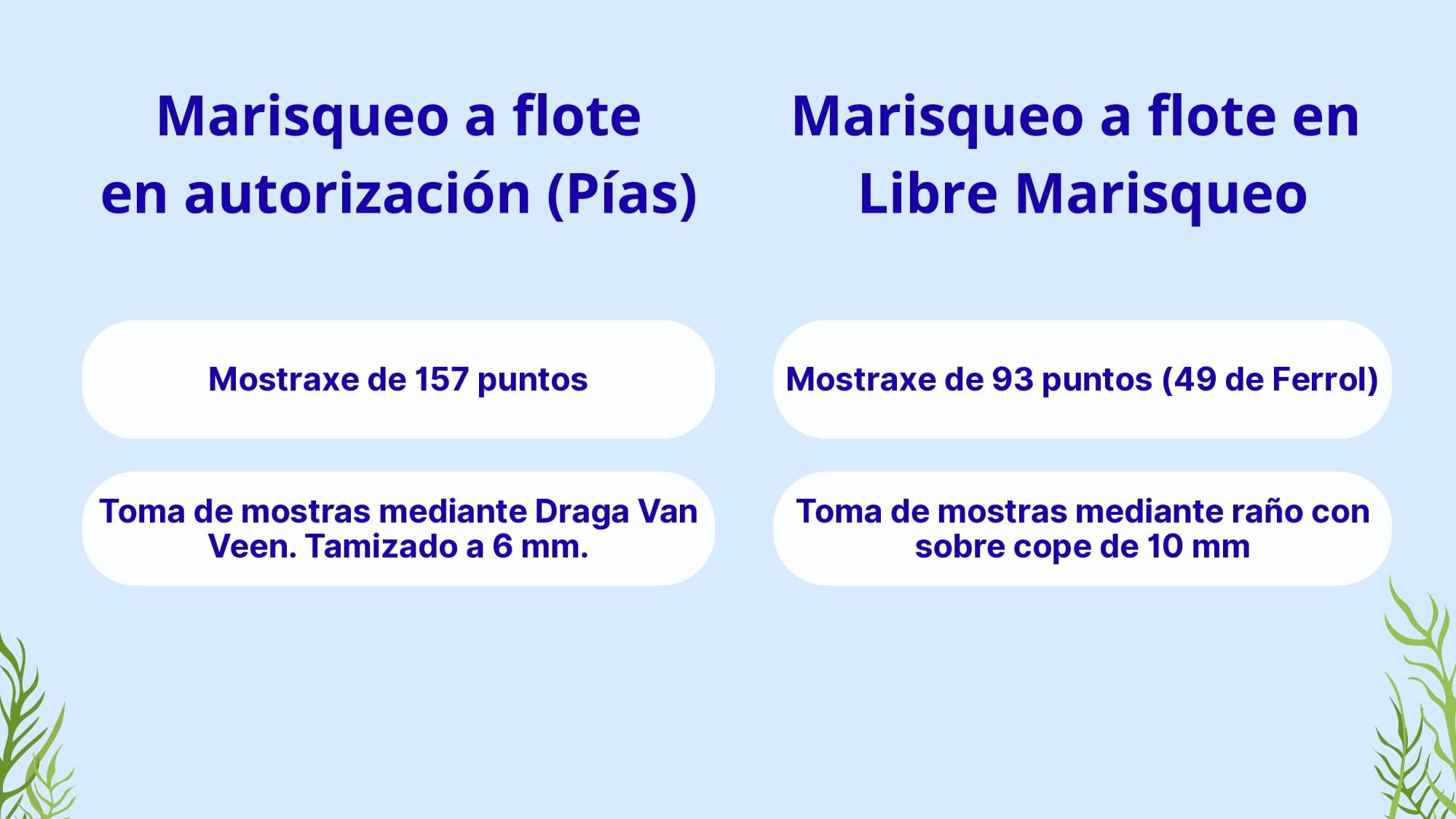XORNADAS DE DIVULGACION PROXECTO PE209P 2025-2026
