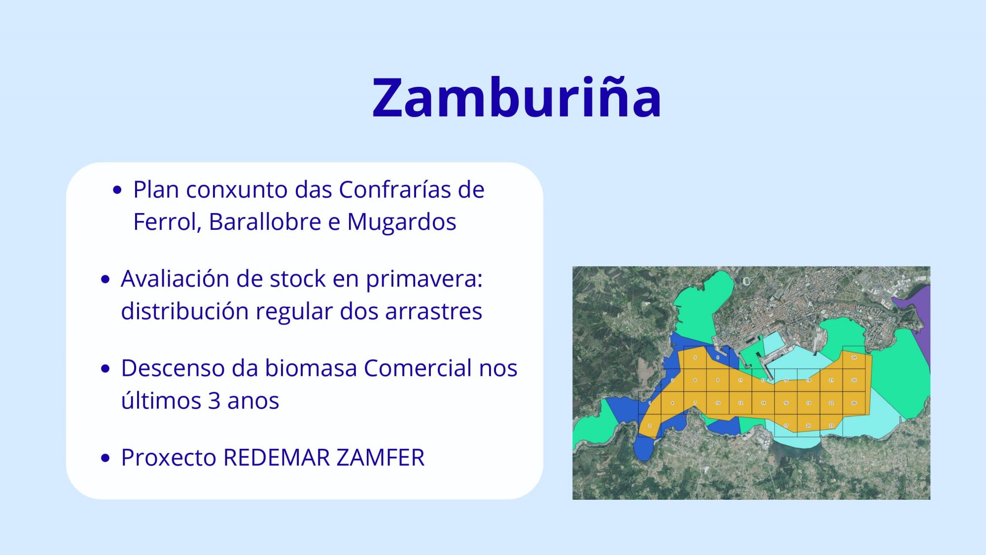 XORNADAS DE DIVULGACION PROXECTO PE209P 2025-2026