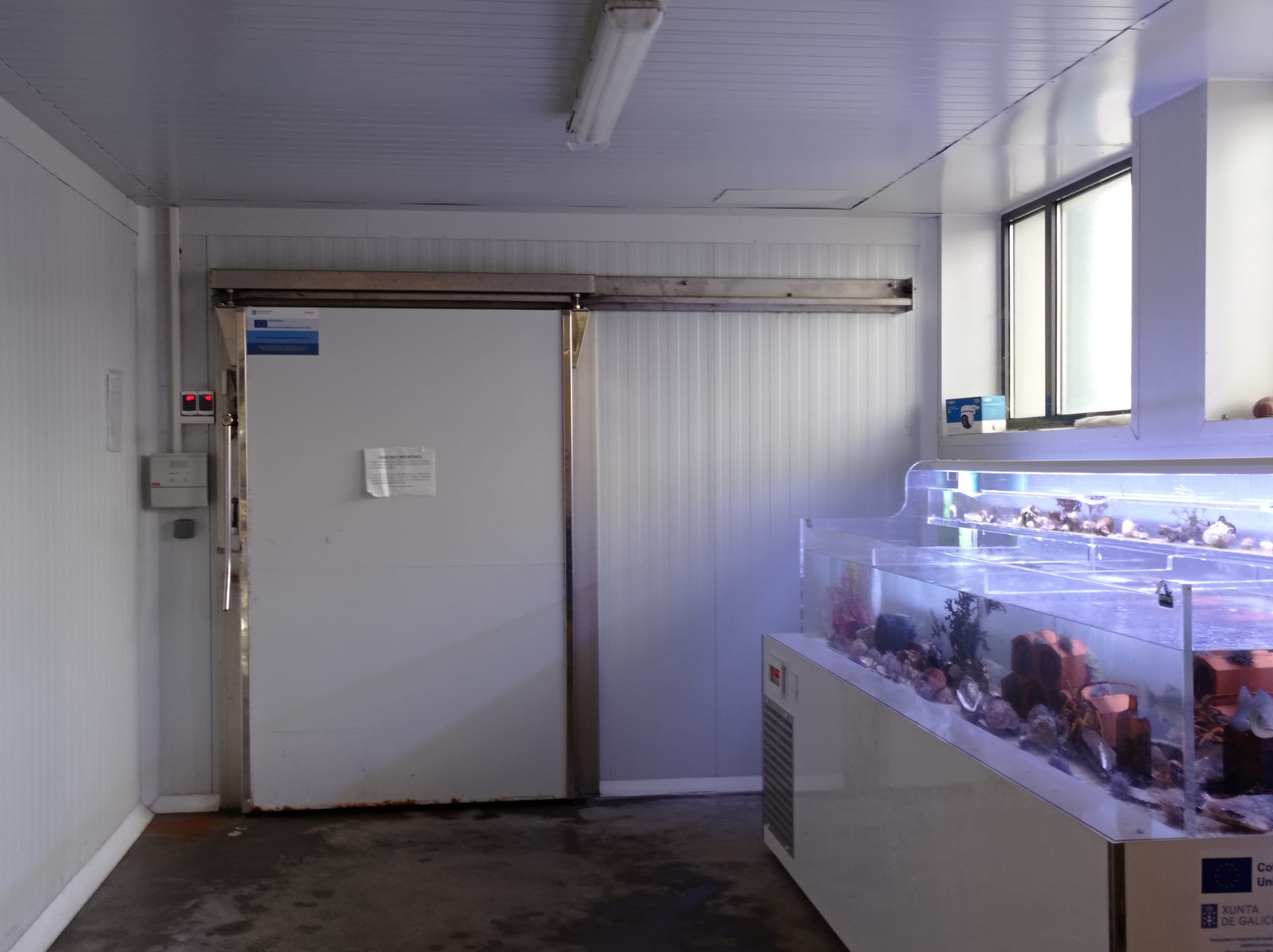 PUBLICIDADE AXUDA FEMPA PROYECTO FABRICA DE XEO 2025