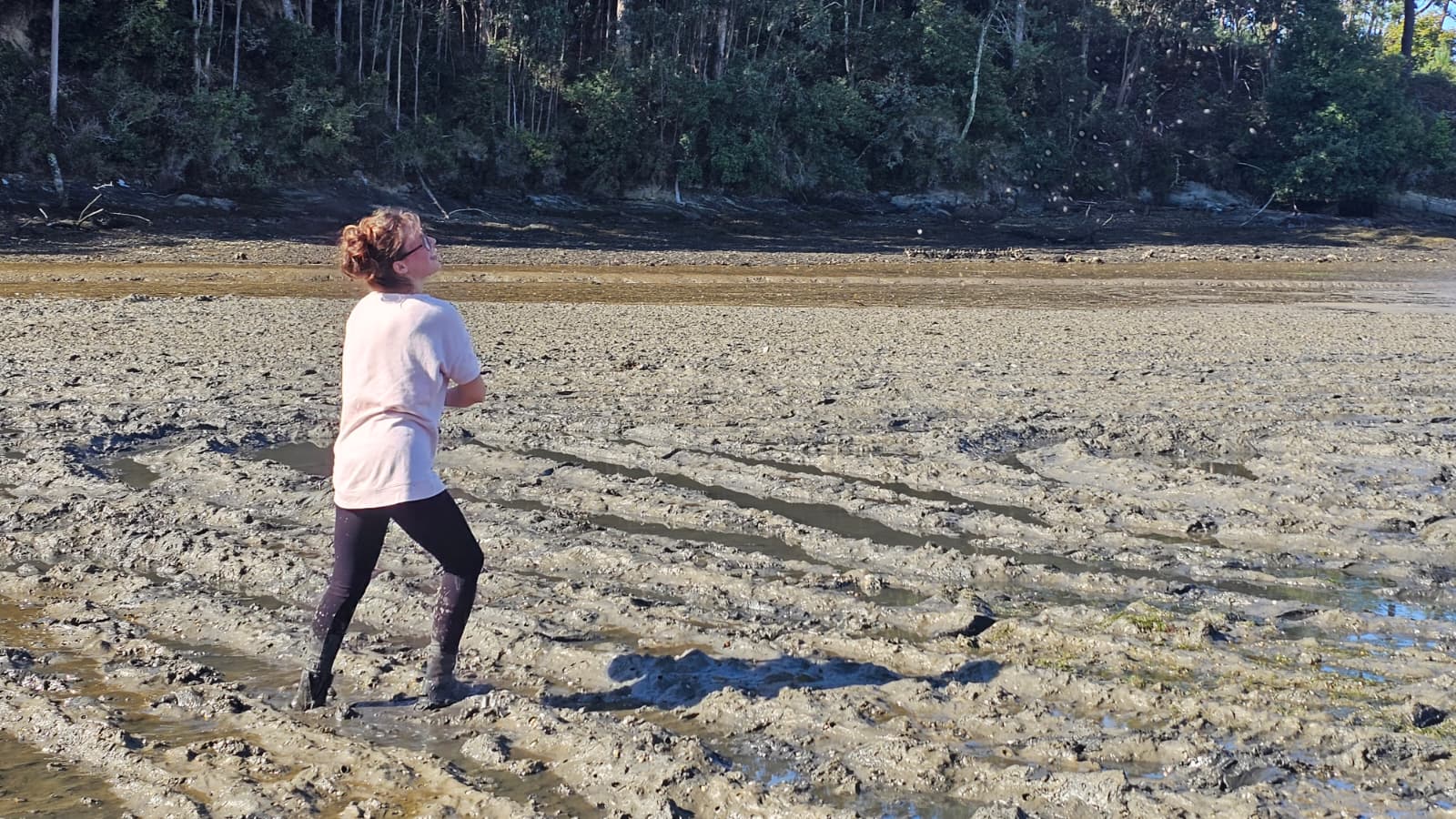 Mariscadora esparcindo a semente