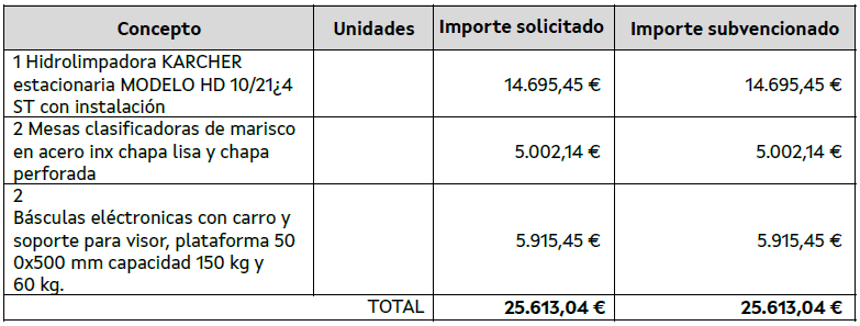 Conceptos subvencionables
