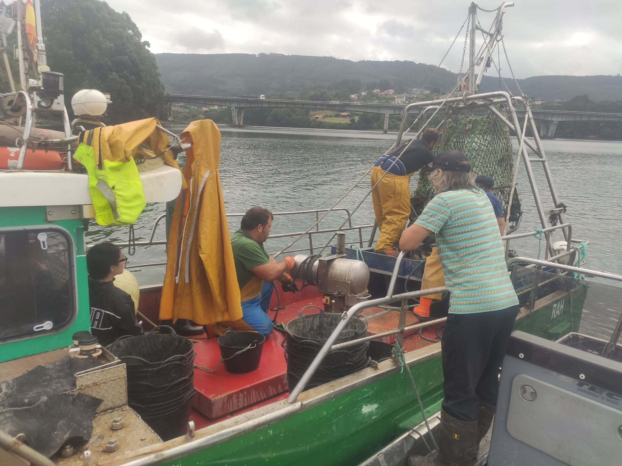 Traballos de rastreado e limpeza de ostra