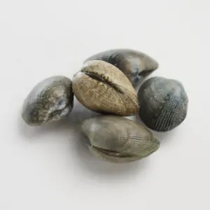 Ameixa xaponesa