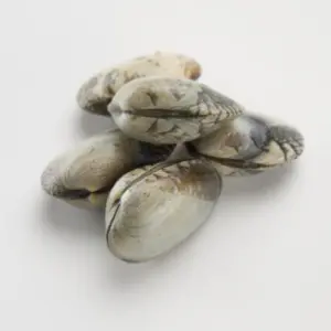 Ameixa babosa