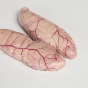 Ovas de pescada