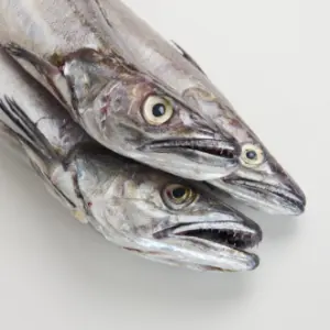 Pescada