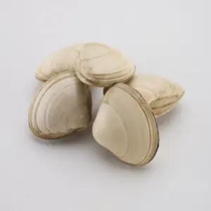 Cornicha