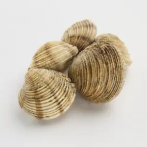 Carneiro