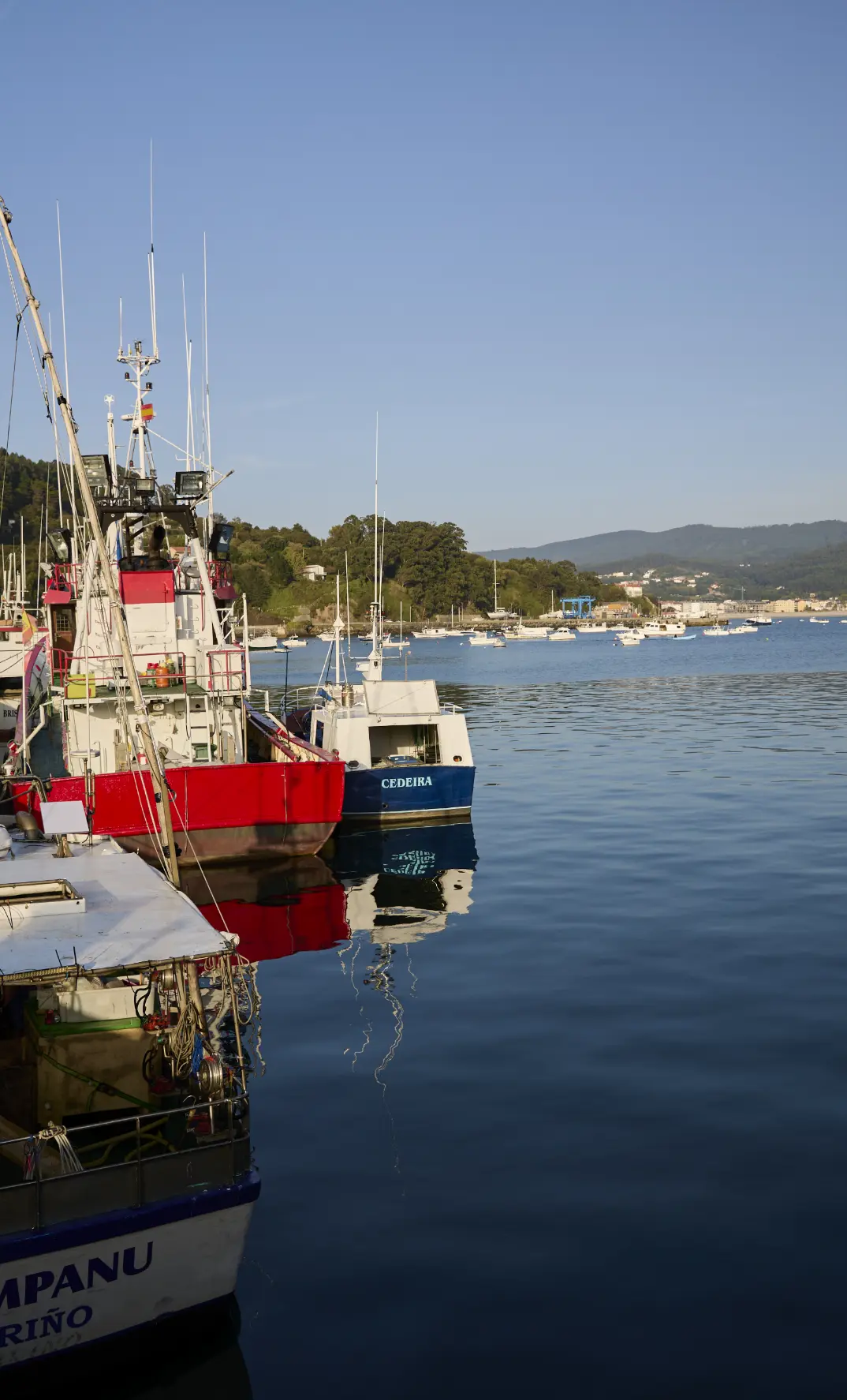 Confraría de Pescadores Santa María do Mar de Cedeira