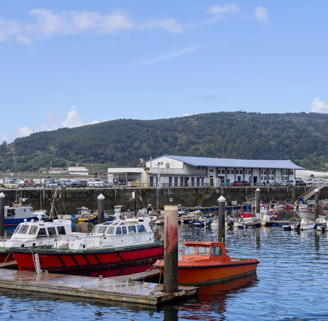 Confraría de Pescadores de Ferrol