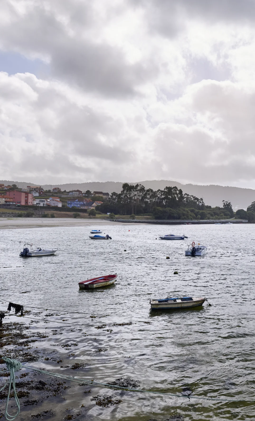 Agrupación de mariscadoras do esteiro do río Anllós