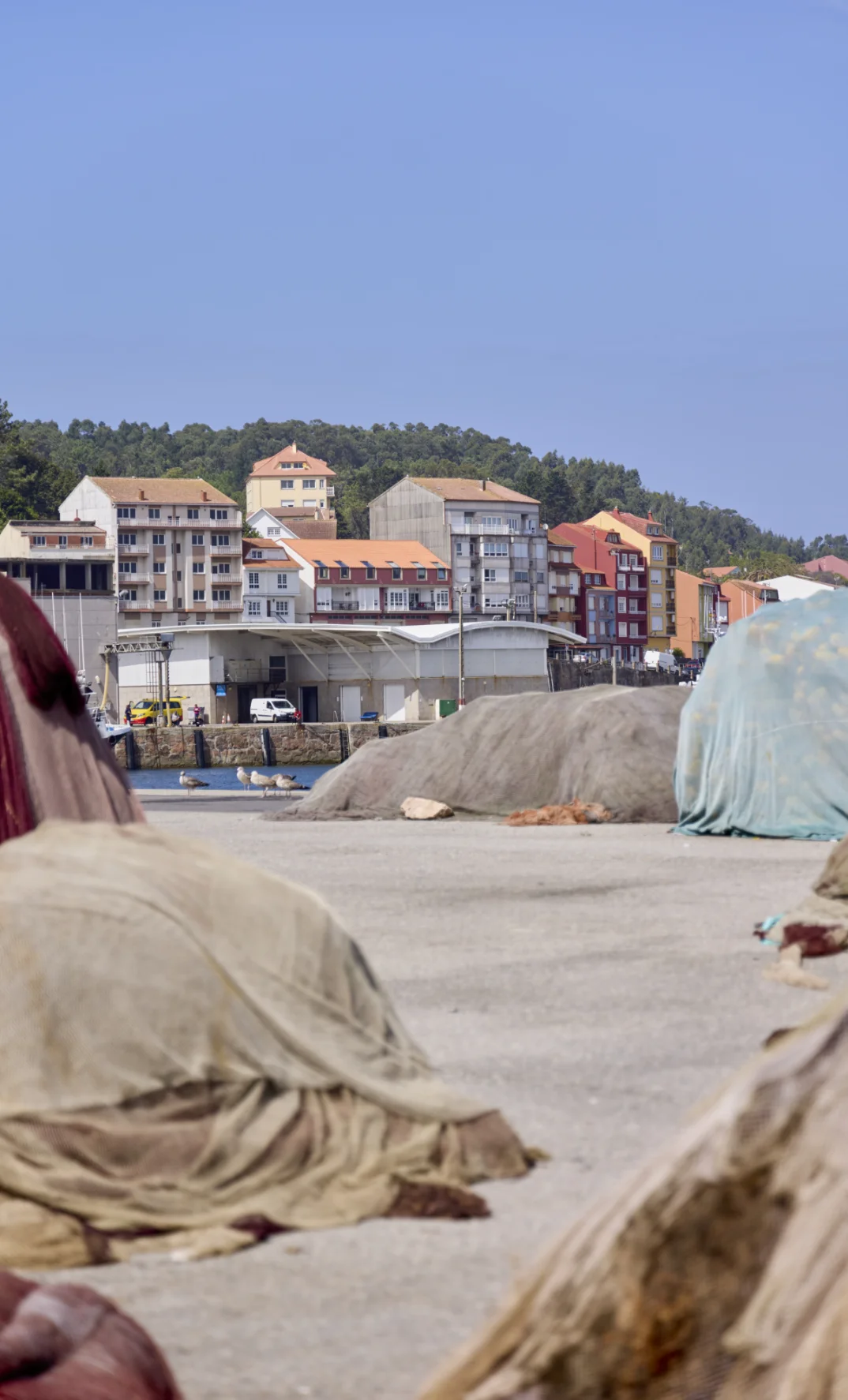 Confraría de Pescadores de Camariñas