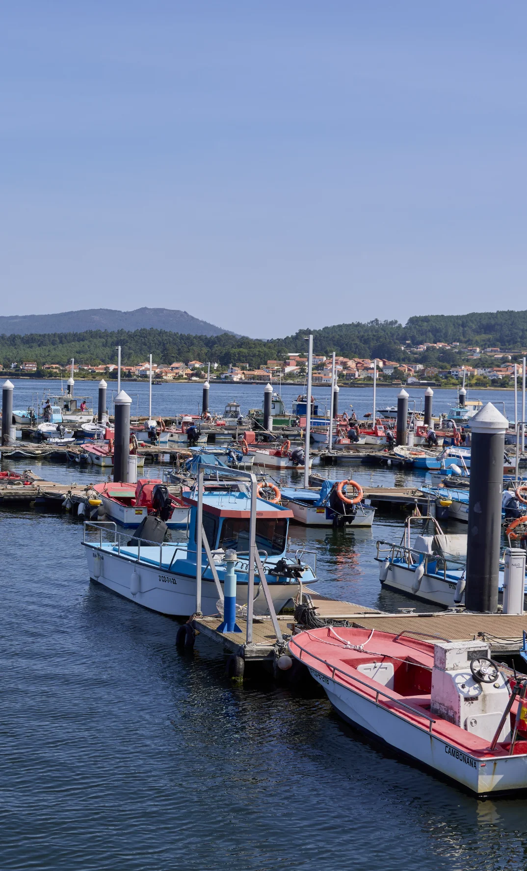 Confraría de Pescadores San Bartolomé de Noia