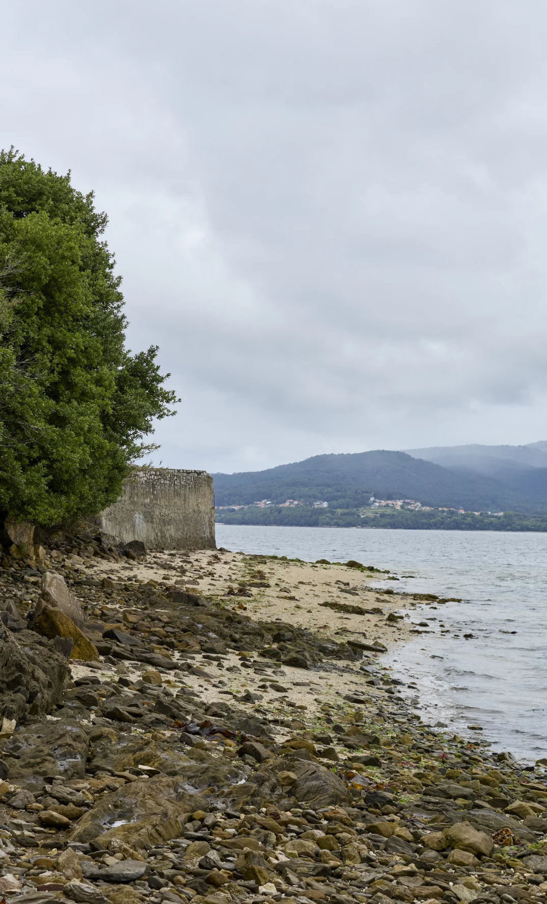 Cooperativa Ría de Arousa-Abanqueiro
