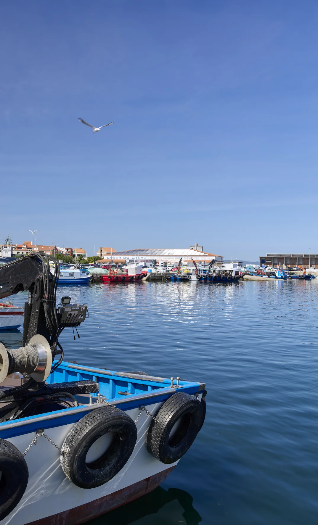 Confraría de Pescadores San Martiño de O Grove