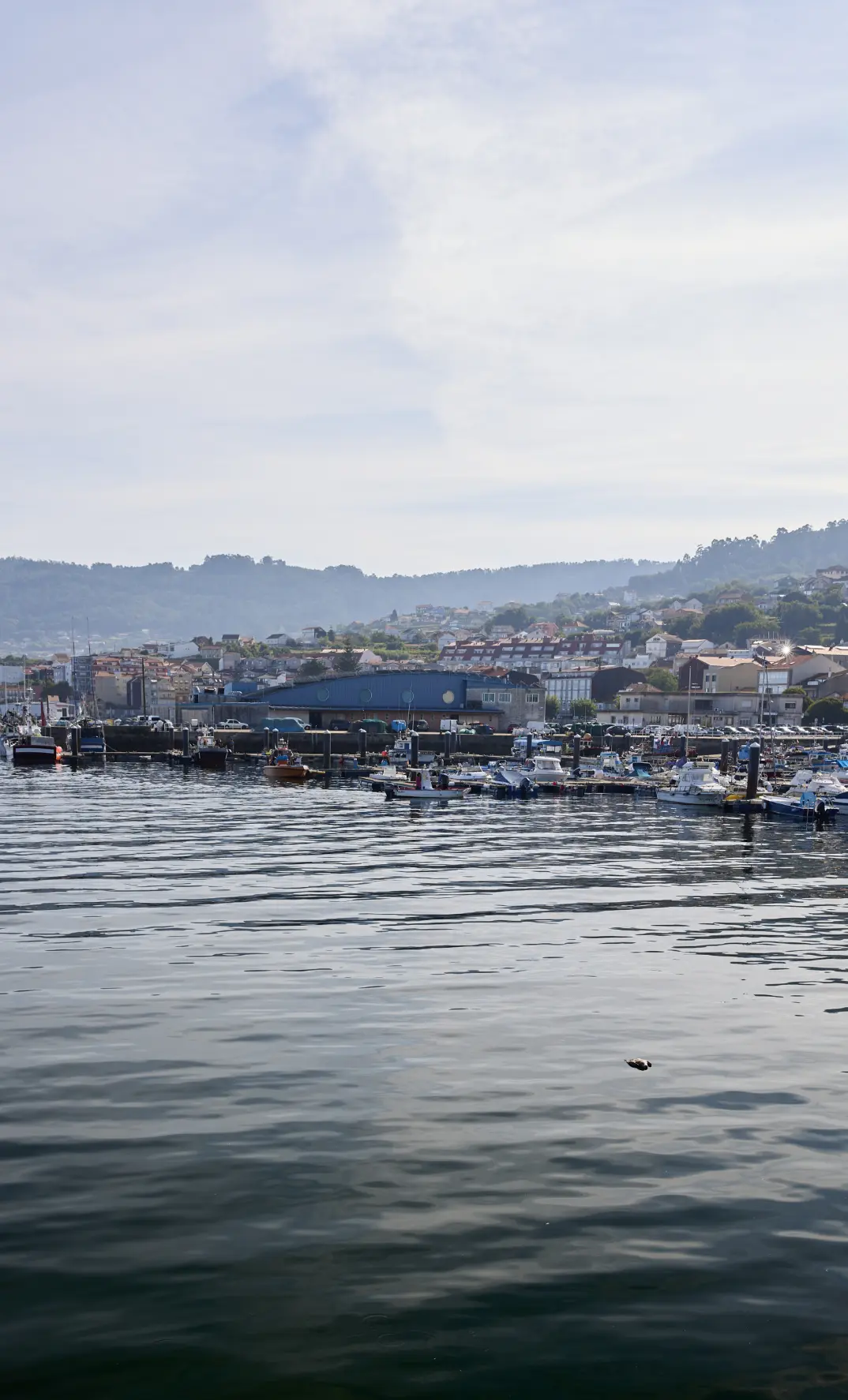 Confraría de Pescadores San Martiño de Bueu