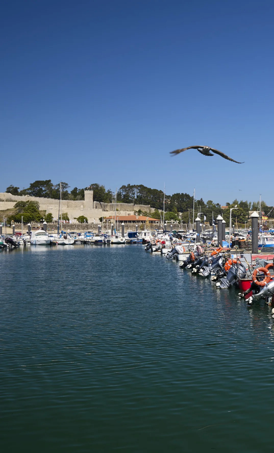 Confraría de Pescadores La Anunciada de Baiona