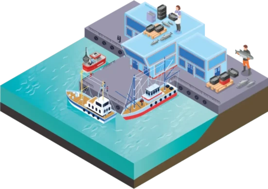 Barcos